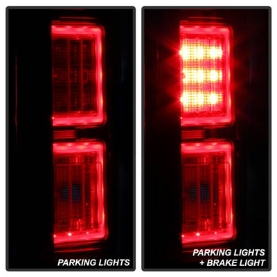 Ford Tail Lights, F150 Tail Lights, F150 15-17 Tail Lights, Red Clear Tail Lights, Spyder Tail Lights